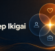 konsep ikigai